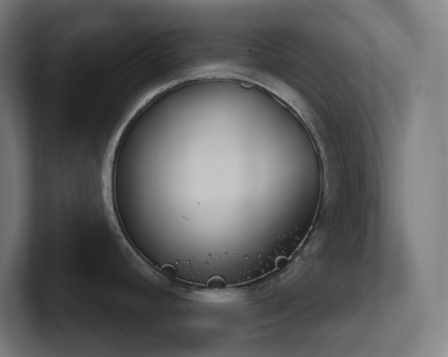 X0000102771392200808181120