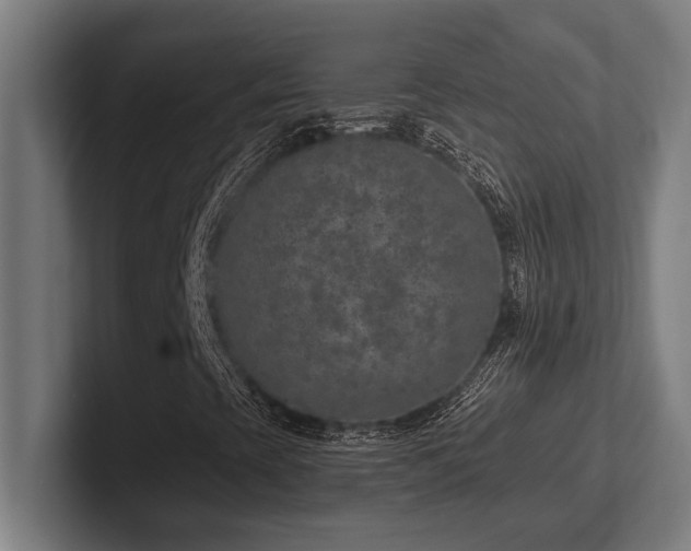 X0000102771393200808181120