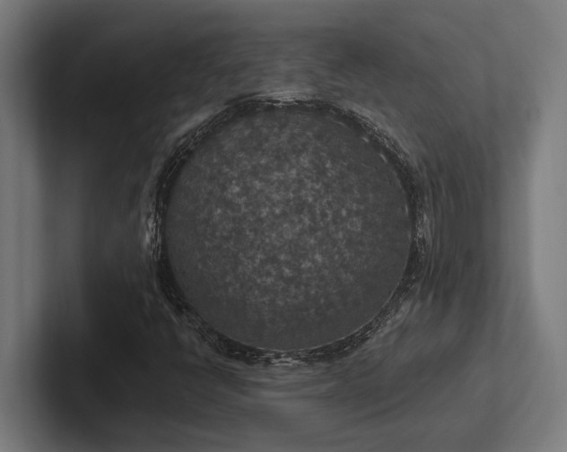 X0000102771398200808181120