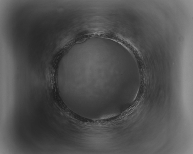 X0000102771399200808181120