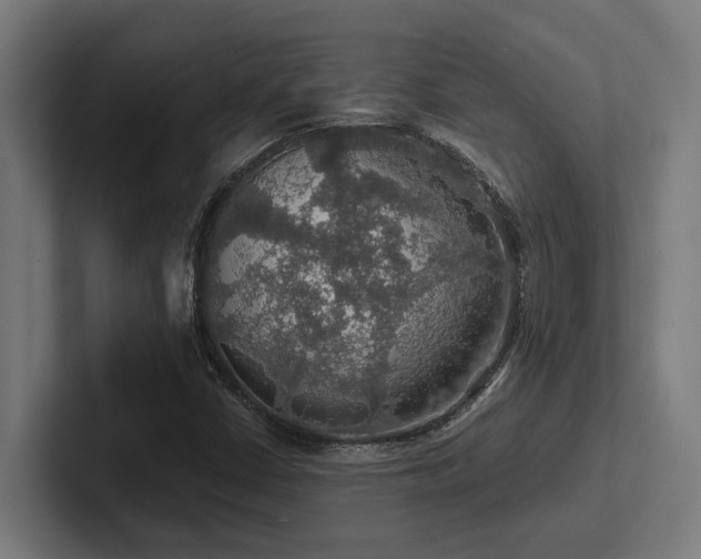 X0000102771402200808181120