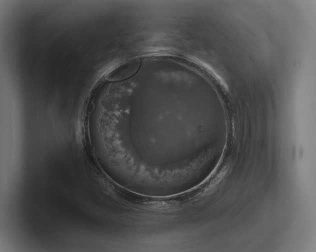 X0000102771405200808181120