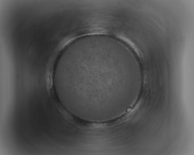 X0000102771407200808181120