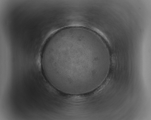 X0000102771408200808181120