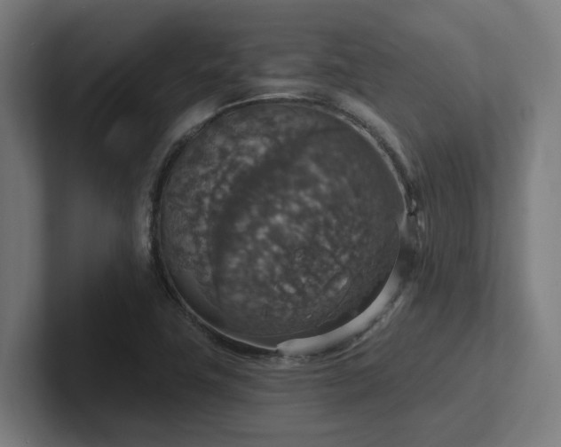 X0000102771411200808181120