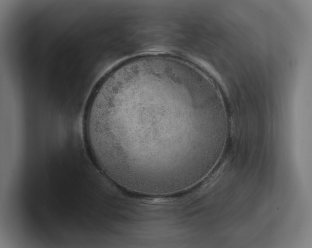 X0000102771412200808181120
