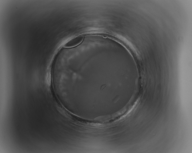 X0000102771413200808181120