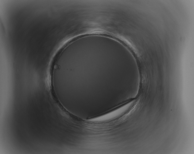 X0000102771414200808181120