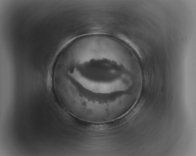 X0000102771415200808181120