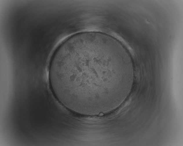 X0000102771416200808181120