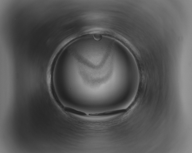 X0000102771418200808181120