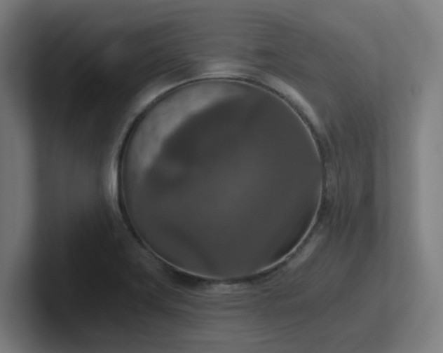 X0000102771419200808181120