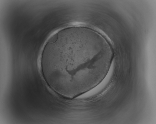 X0000102771421200808181120