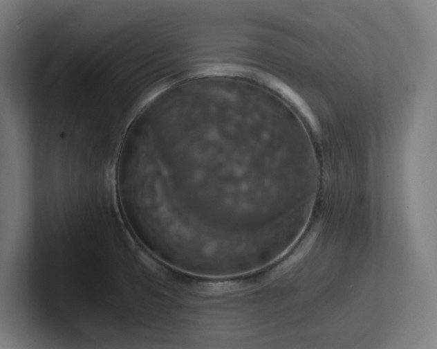X0000102771425200808181120