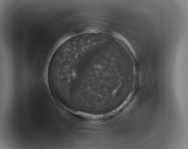 X0000102771427200808181120