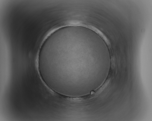 X0000102771432200808181120