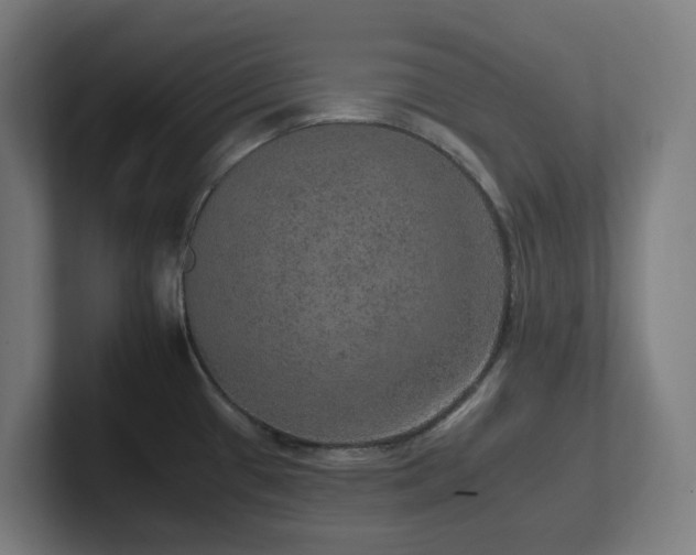 X0000102771433200808181120