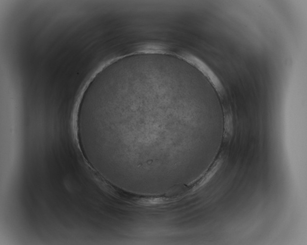 X0000102771435200808181120