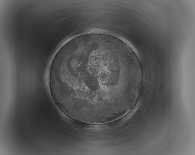X0000102771438200808181120