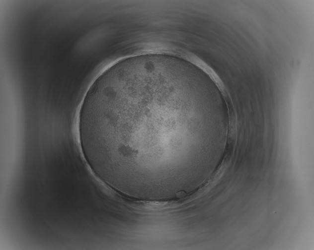 X0000102771439200808181120