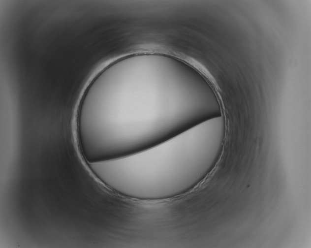 X0000102771440200808181120