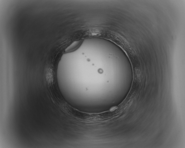 X0000102771442200808181120