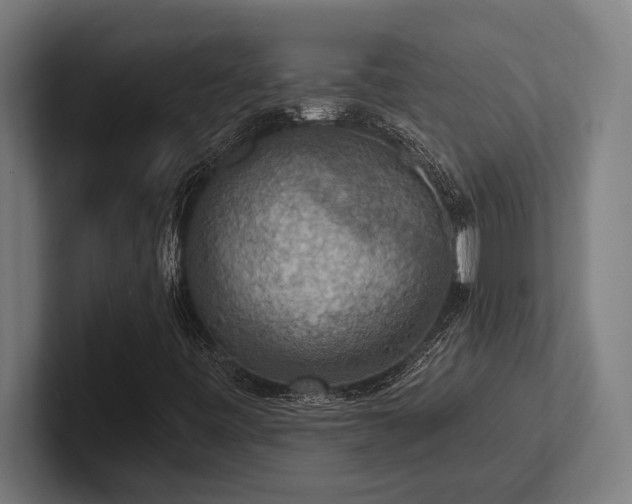 X0000102771443200808181120