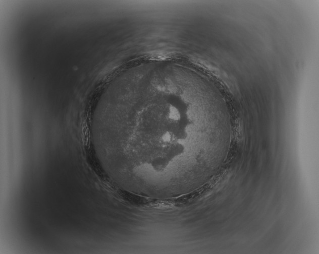 X0000102771446200808181120