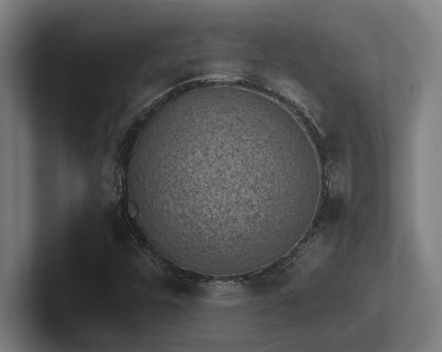 X0000102771448200808181120