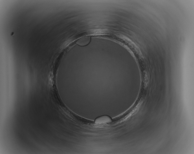 X0000102771449200808181119