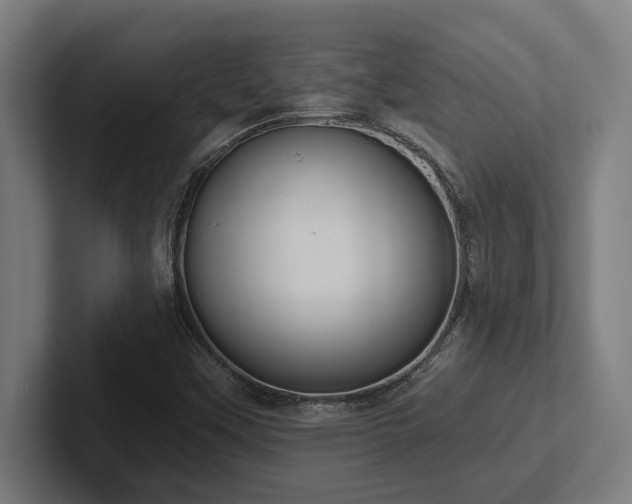 X0000102771451200808181119