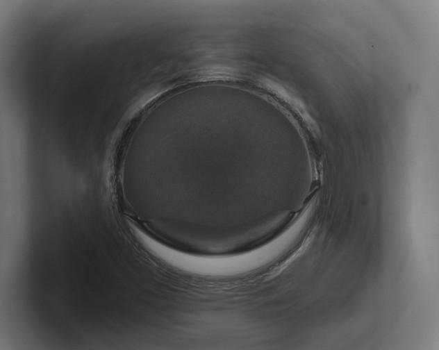 X0000102771453200808181119