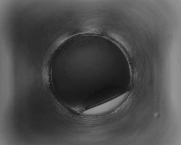 X0000102771455200808181119