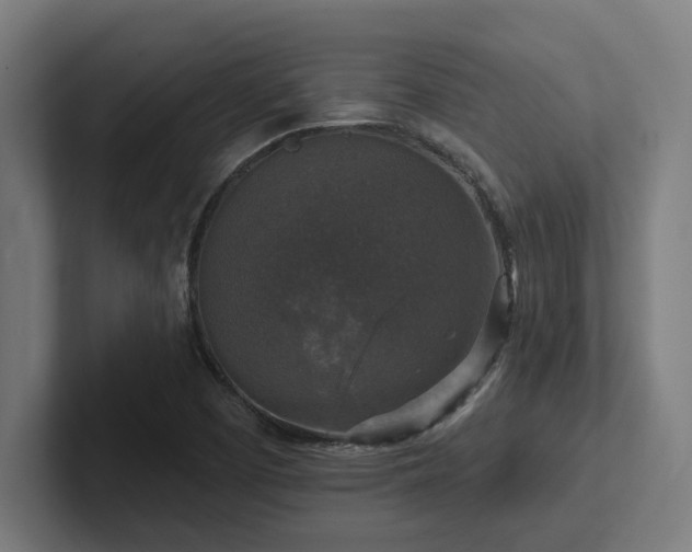 X0000102771457200808181119