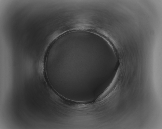 X0000102771459200808181119