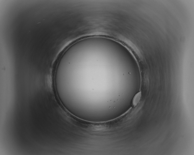 X0000102771460200808181119