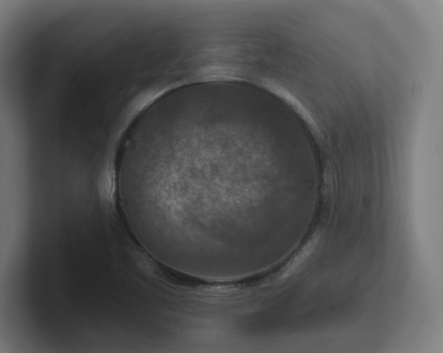 X0000102771461200808181119