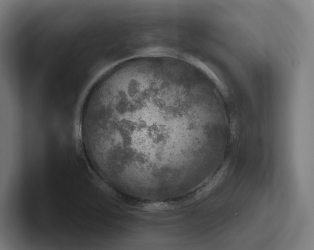 X0000102771462200808181119
