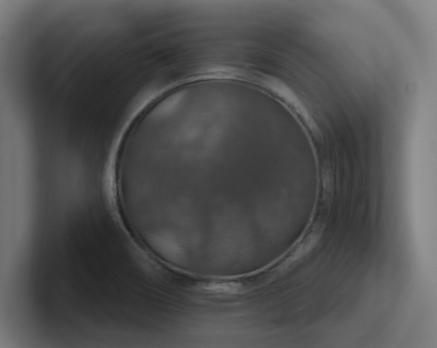 X0000102771466200808181119