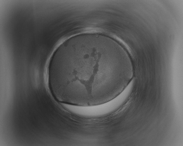 X0000102771467200808181119