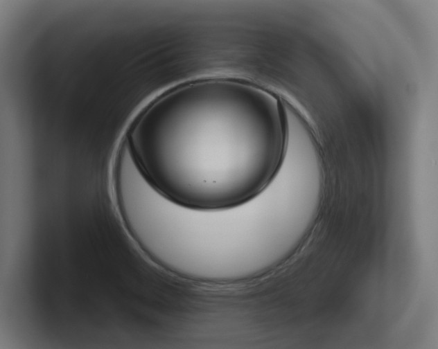 X0000102771468200808181119