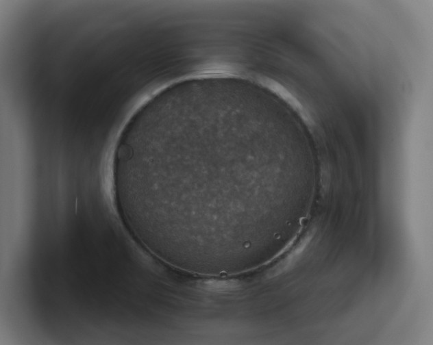 X0000102771469200808181119
