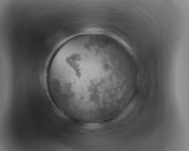 X0000102771470200808181119