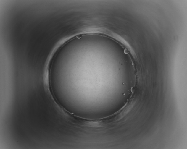 X0000102771472200808181119