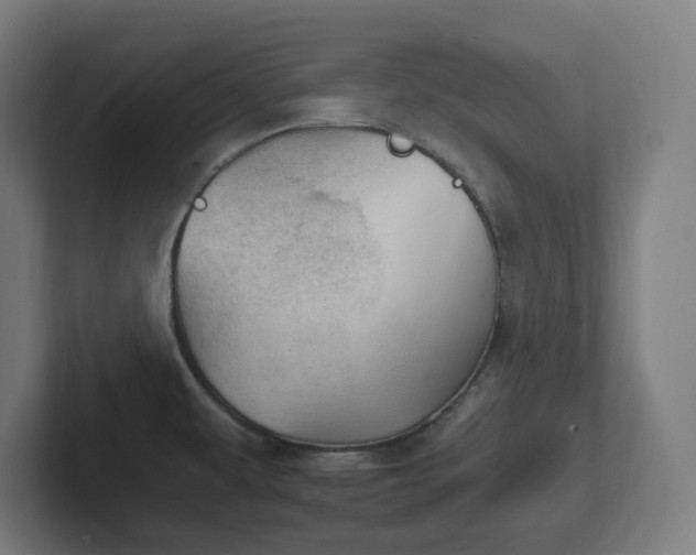 X0000102771479200808181119