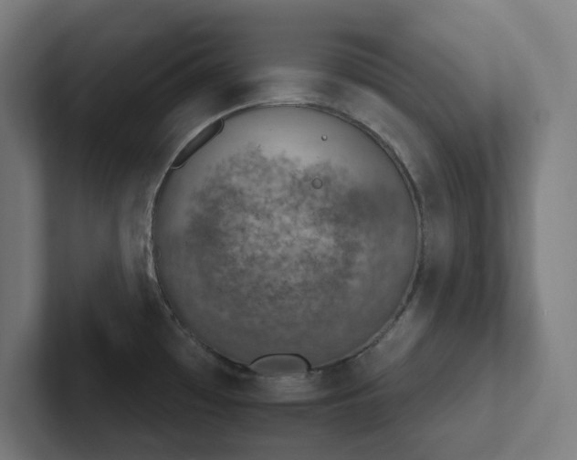 X0000102771481200808181119