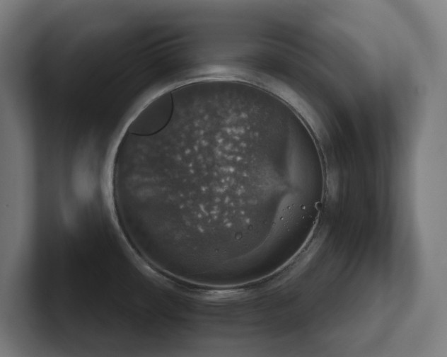 X0000102771482200808181119