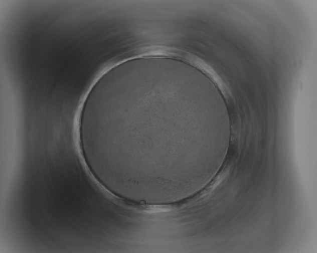 X0000102771483200808181119
