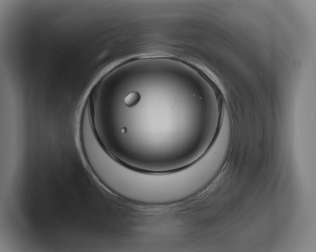 X0000102771485200808181119