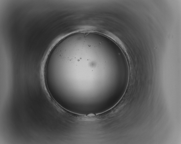 X0000102771488200808181119